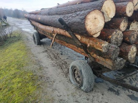 Поліцейські за десять днів відпрацювань на Рівненщині вилучили понад 100 кубів незаконної лісопродукції