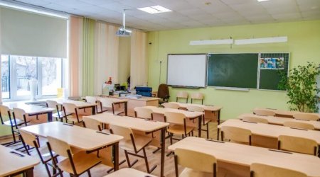 Очно чи дистанційно: яку форму організації навчання обирають батьки та вчителі українських шкіл